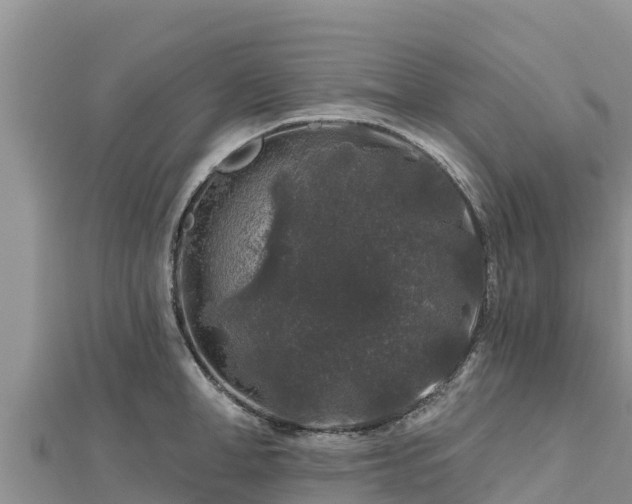 X0000112800998200908281524