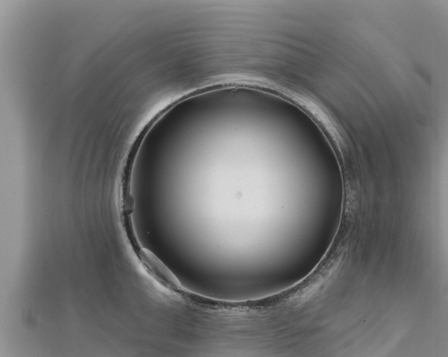 X0000112800999200908281524