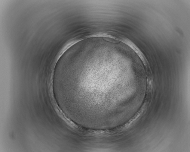 X0000112801002200908281524
