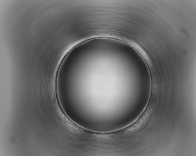 X0000112801004200908281524