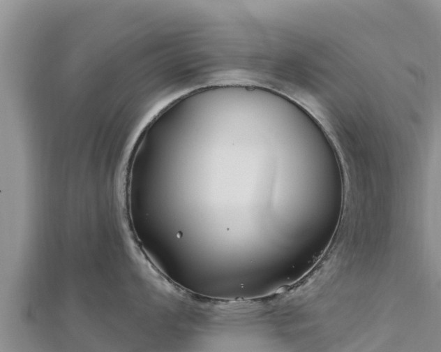 X0000112801008200908281524