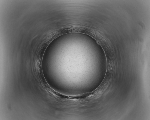X0000112801010200908281523