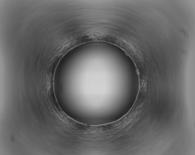 X0000112801012200908281523