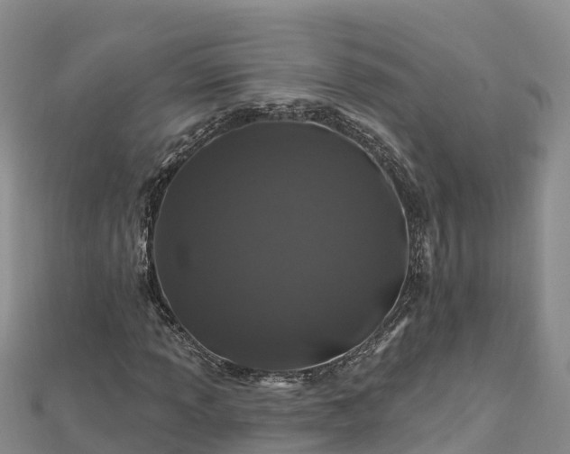 X0000112801013200908281523