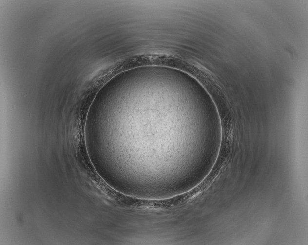 X0000112801014200908281524