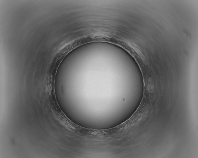 X0000112801015200908281524