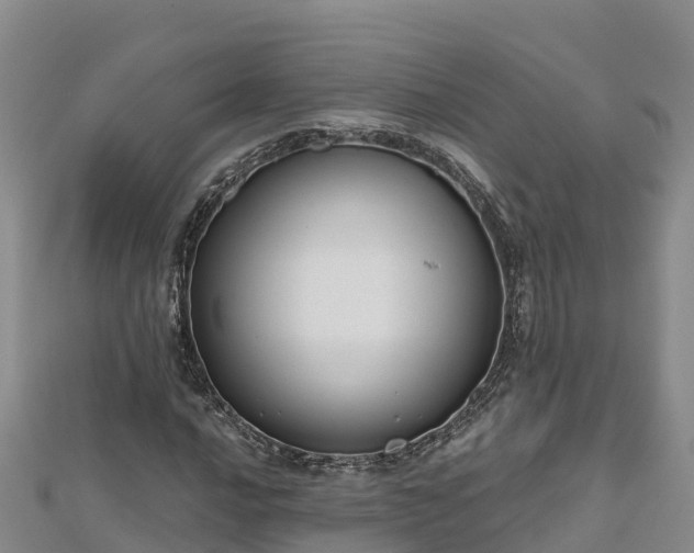 X0000112801016200908281524