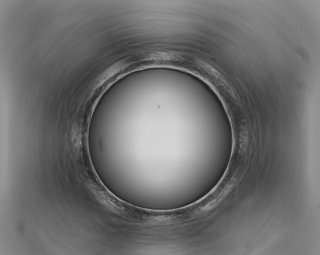X0000112801017200908281524