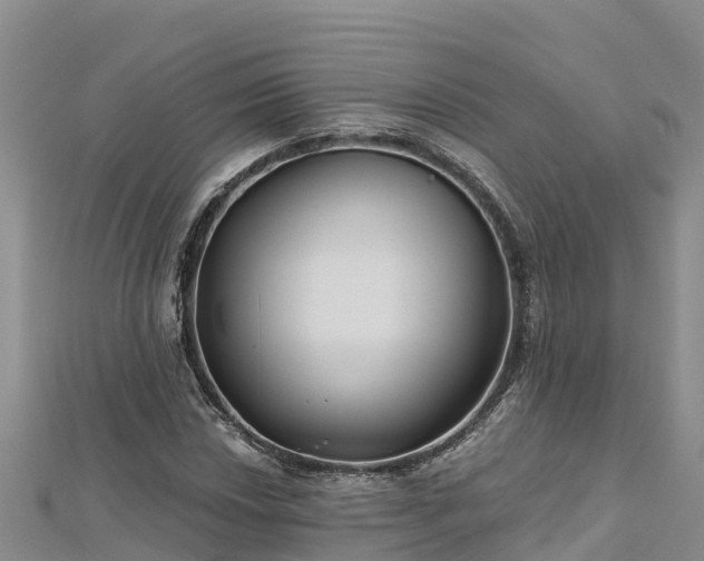 X0000112801018200908281524