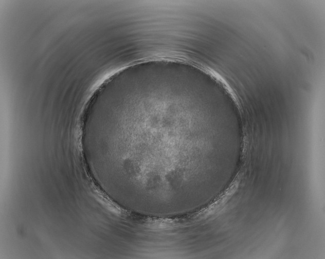 X0000112801019200908281524