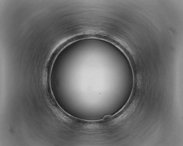 X0000112801021200908281524