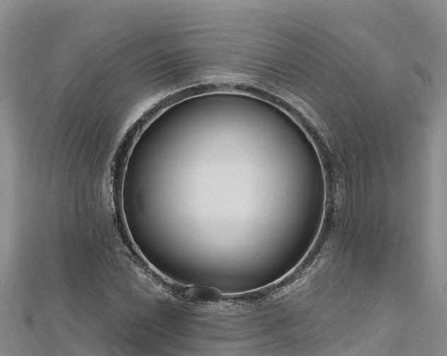 X0000112801022200908281524