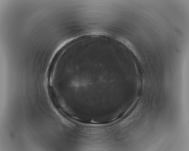 X0000112801024200908281524