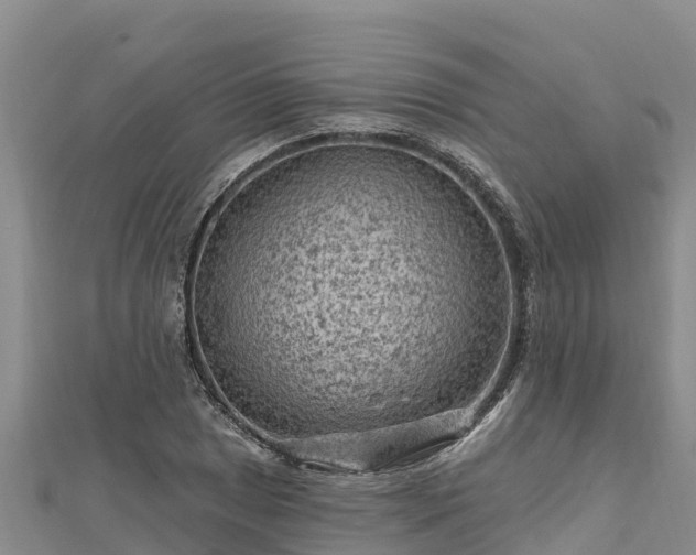 X0000112801025200908281524