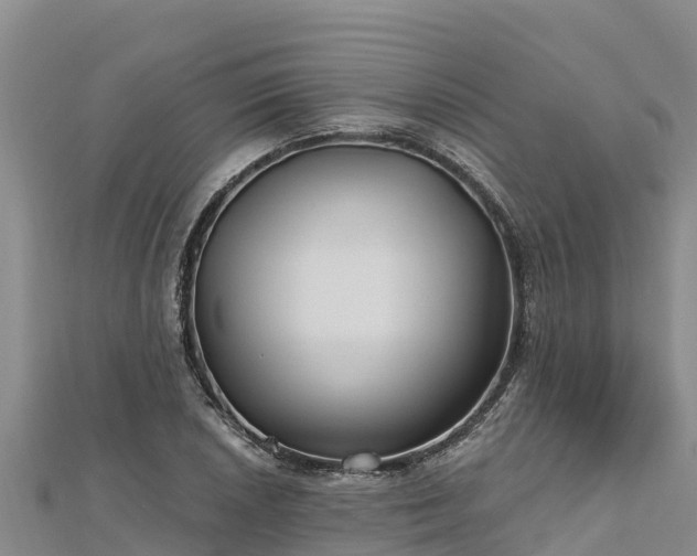 X0000112801026200908281524