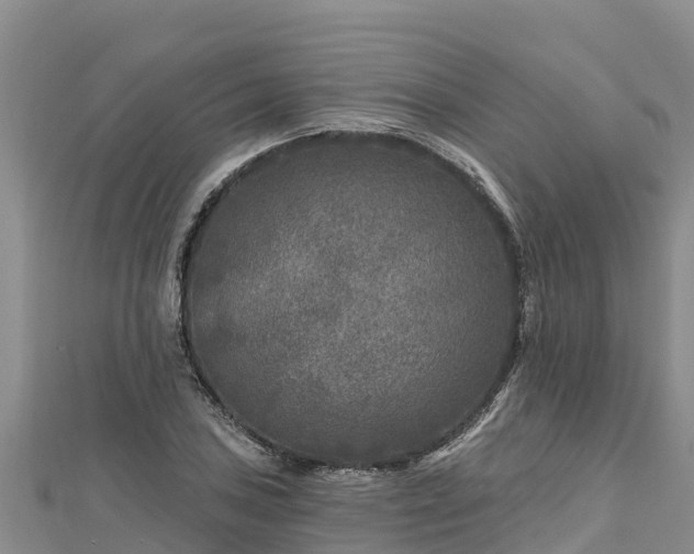 X0000112801027200908281524