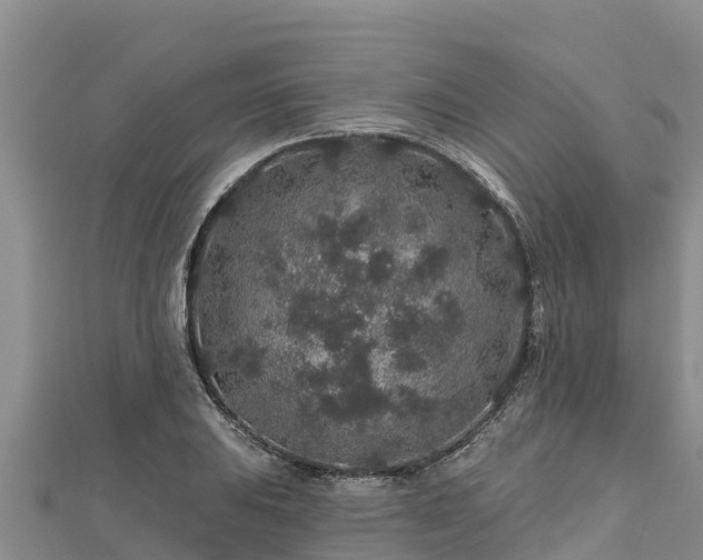X0000112801031200908281524