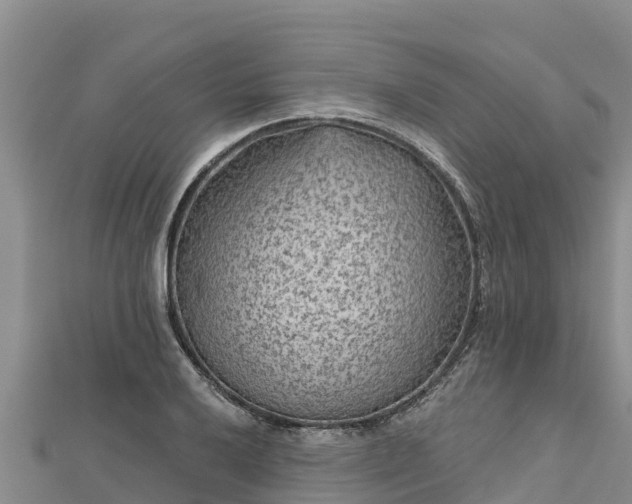 X0000112801032200908281524