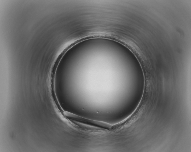 X0000112801038200908281524