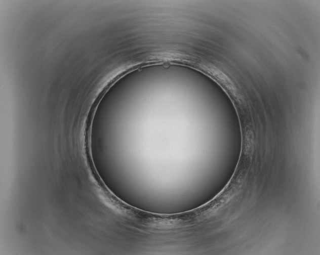 X0000112801039200908281524