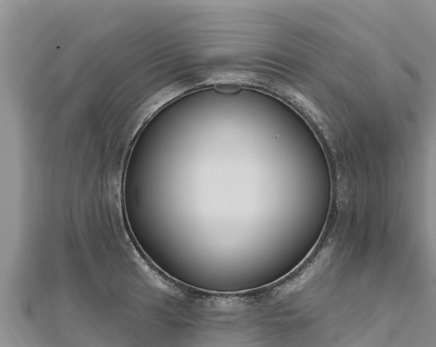 X0000112801041200908281524