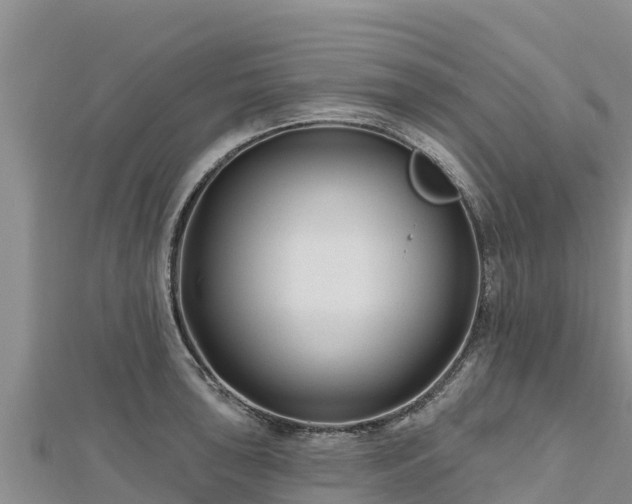 X0000112801043200908281524