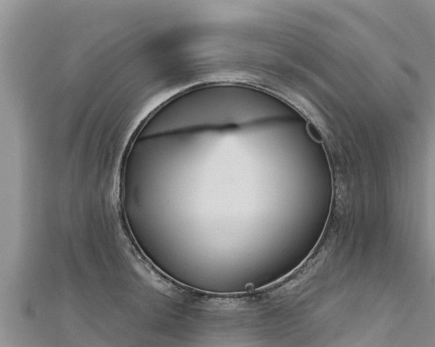 X0000112801044200908281524