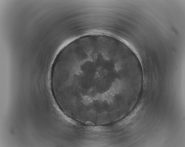 X0000112801045200908281524