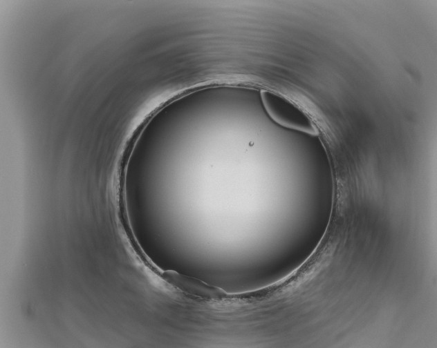 X0000112801046200908281524