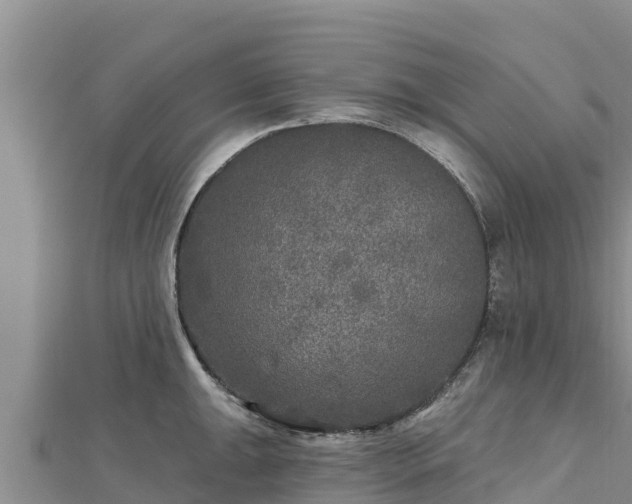 X0000112801047200908281524
