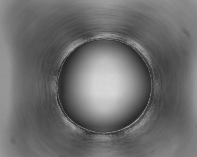 X0000112801049200908281524