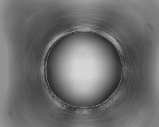X0000112801051200908281524