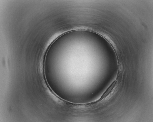 X0000112801054200908281524