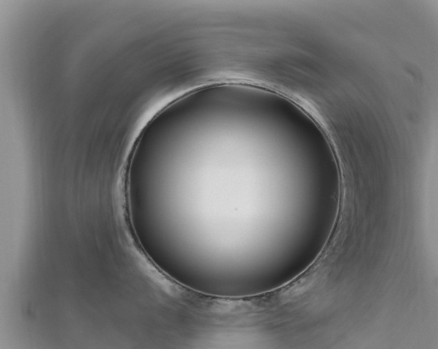 X0000112801056200908281524