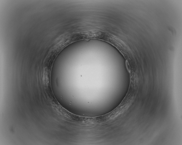 X0000112801058200908281523