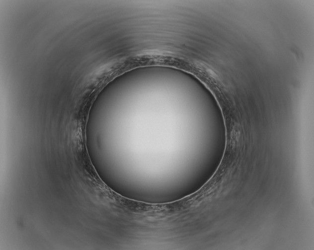X0000112801062200908281523