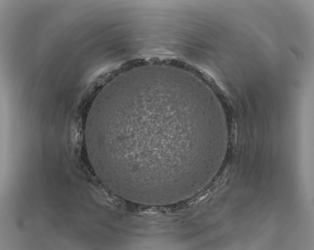 X0000112801063200908281523