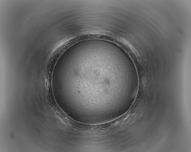 X0000112801064200908281523