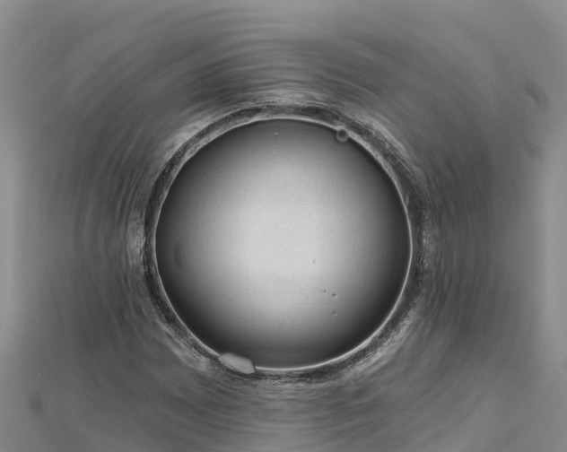 X0000112801065200908281523