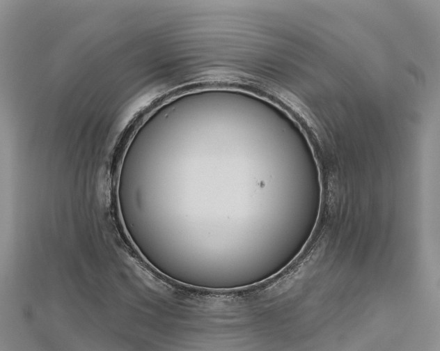 X0000112801067200908281523