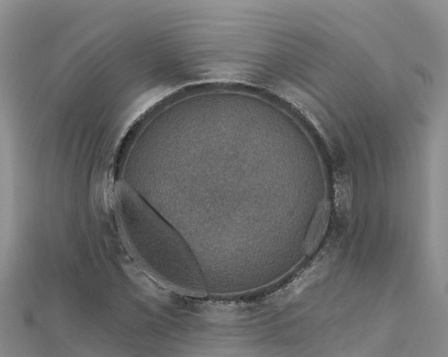 X0000112801069200908281523