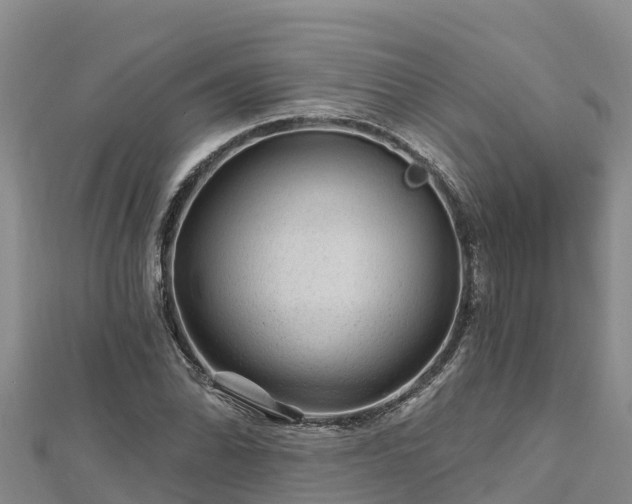 X0000112801070200908281523