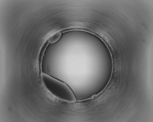 X0000112801072200908281523