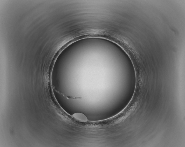 X0000112801073200908281523