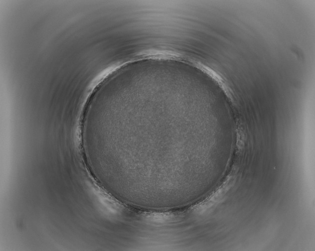 X0000112801074200908281523