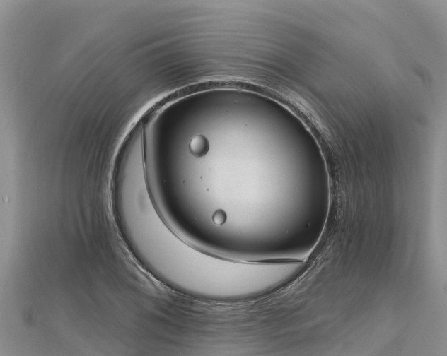 X0000112801076200908281523