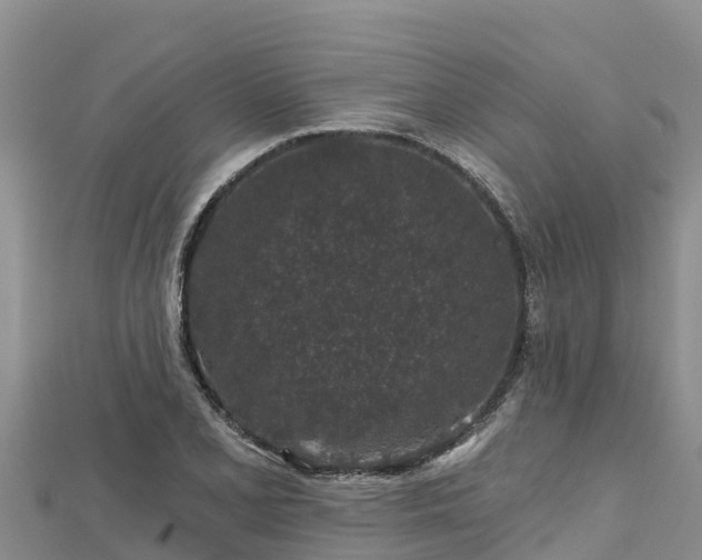 X0000112801077200908281523
