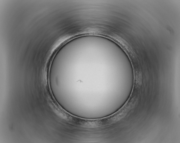 X0000112801078200908281523