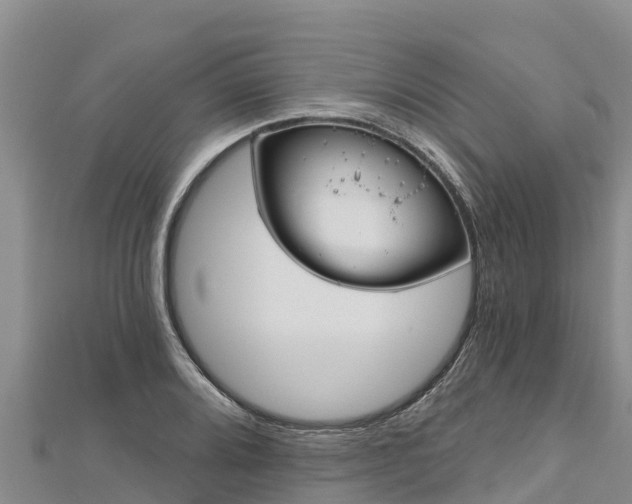 X0000112801080200908281523