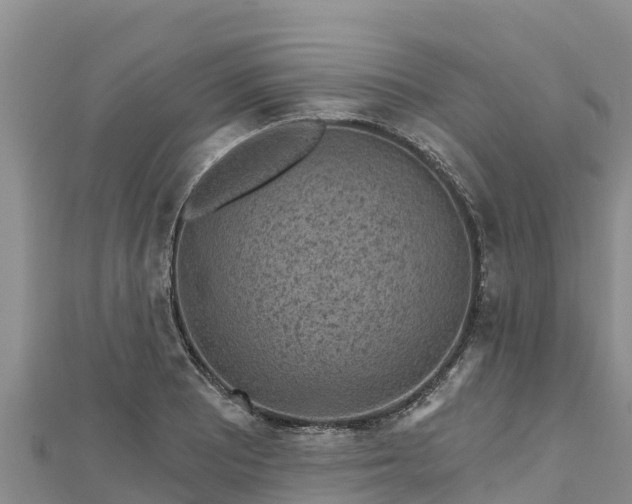 X0000112801081200908281523